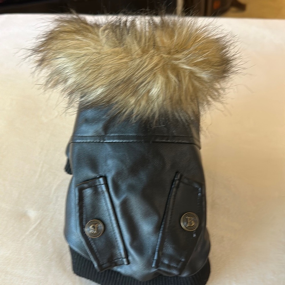 Super cute dog coat